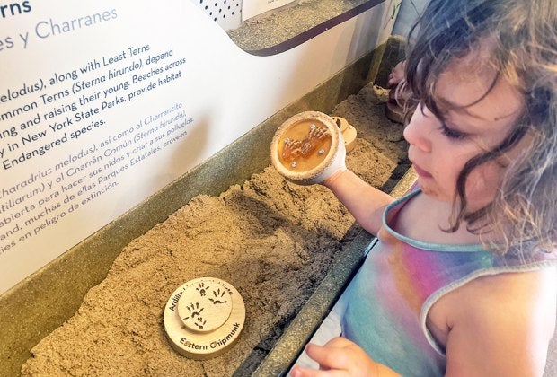 Jones Beach Energy and Nature Center's interactive exhibits are free. Photo by Gina Massaro