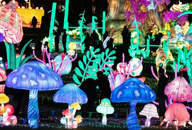 Illuminated sculptures light up the night at LuminoCity in Manhasset. 