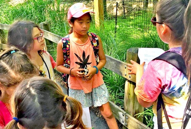 Kids experience the natural world at Tenafly Nature Center Camp. Photo courtesy of the nature center