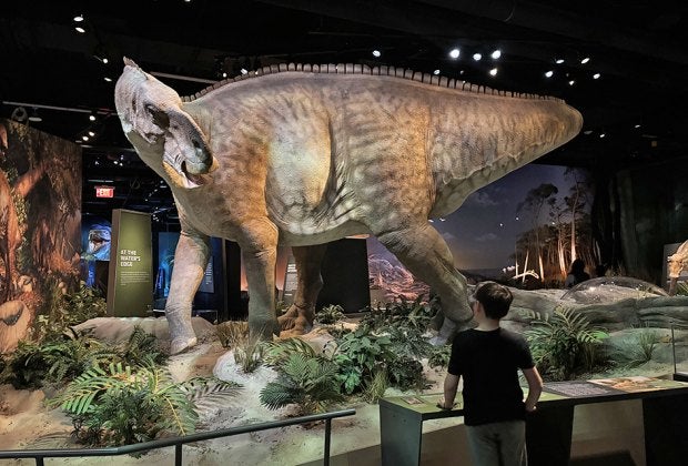 Edelman Fossil Park has life-size replicas of some of your favorite dinosaurs and sea creatures.