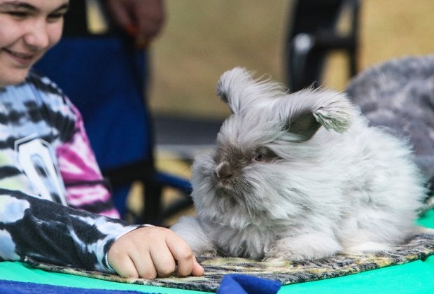 Jakes Branch County Park Nature Center hosts an up-close look at the park's inhabitants each Sunday. Photo courtesy of the center
