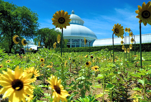 The New York Botanical Garden's floral show Van Gogh's Flowers is inspired by the genius of the iconic artist Vincent van Gogh. Photo by Jody Mercier