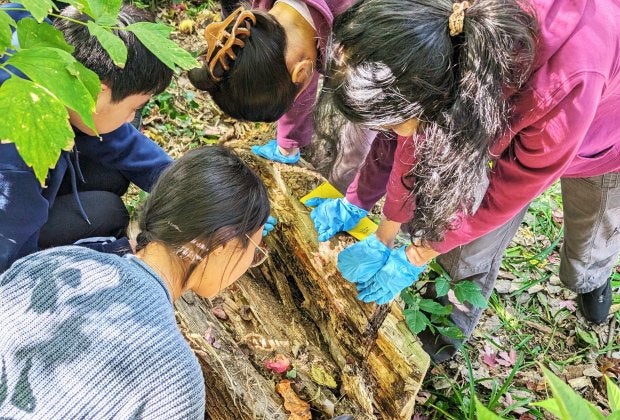 Kids as young as 14 can apply for an eco-focused internship at Alley Pond Park in Queens. Photo courtesy of the Alley Pond Environmental Center