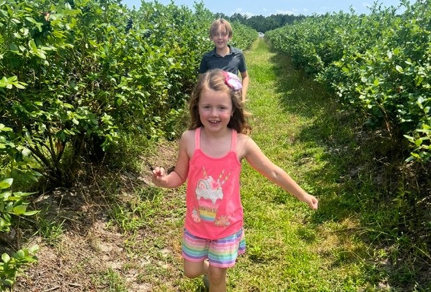 Kids can pick blueberries and enjoy fun activities at Far Reach Ranch. Photo by author