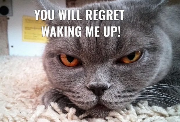 No one said the teen years would be pretty!