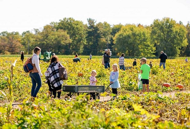Hit the fields to pick a perfect pumpkin at Johnson's Locust Hall Farm. Photo by Elizabeth Mae Photography/courtesy of the farm