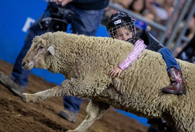 Photo courtesy of Houston Livestock Show and Rodeo