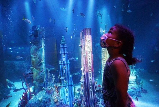 Take in an array of sea creatures at Sea Life's Sharks Fifth Avenue Exhibit where familiar landmarks get an undersea makeover. 