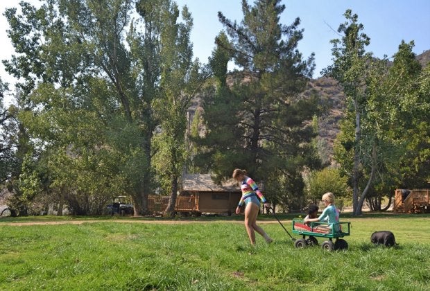 Huttopia's tents are set in the middle of so much lush greenery.