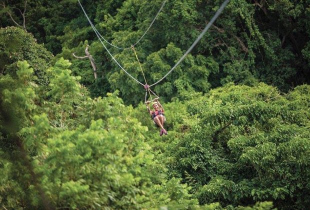  Zip line through the stunning jungles of St. Kitts with Sky Safari. 