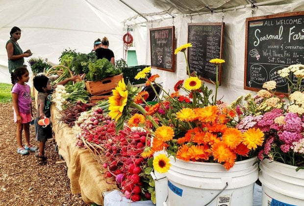 Visit the seasonal farm at the Queens County Farm Museum for fruit, vegetables, and flowers in a rainbow of colors.