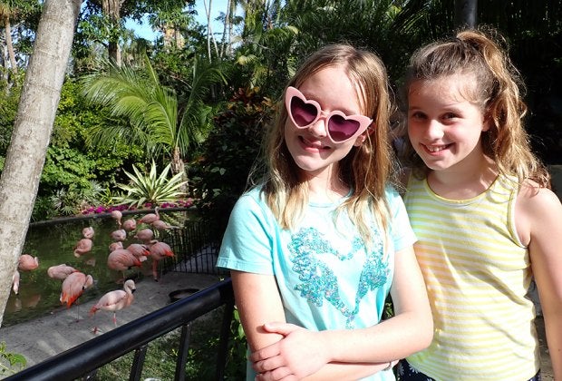 Flamingos are a star attraction at St. Pete's Sunken Gardens. 