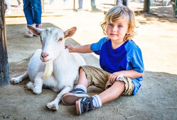 Photo courtesy of Underwood Family Farms