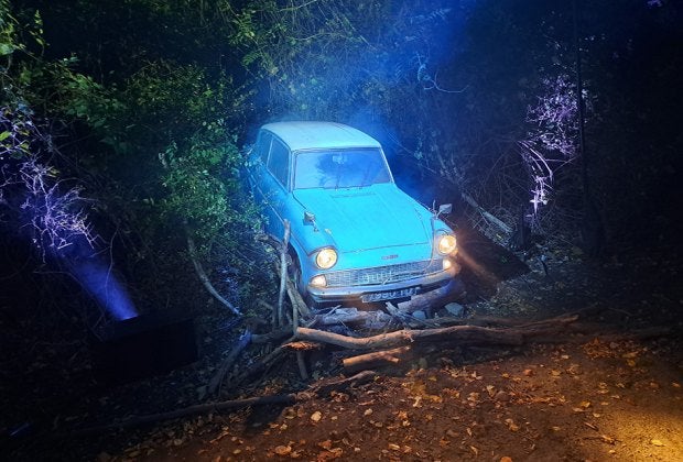 Local kids could immerse themselves in the Wizarding World this year thanks to the Harry Potter Forbidden Forest experience in FDR State Park. Photo by Katherine Dhurandhar