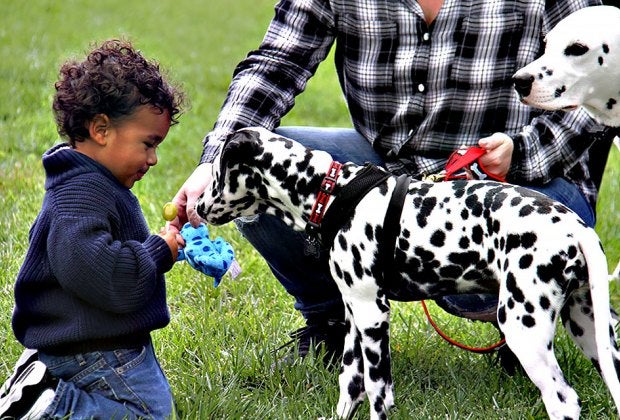 Dalmatian Day at the FASNY Museum of Firefighting is fun for all. Photo courtesy of the museum 