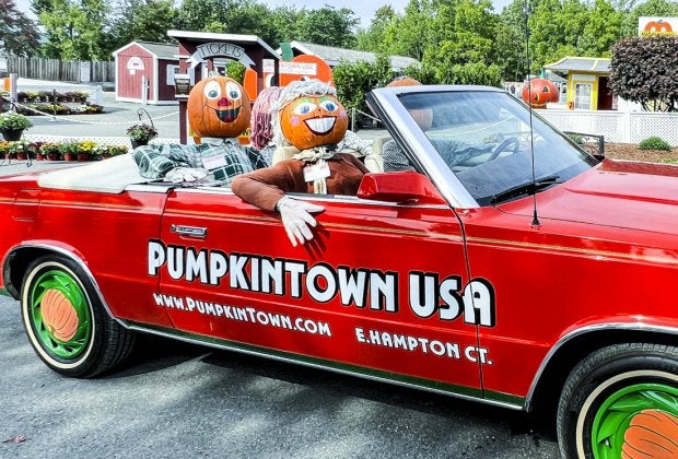 Welcome to Pumpkintown USA in Connecticut, home to the friendliest pumpkinheads.