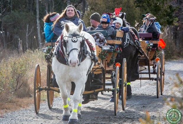 Enjoy lots of FREE fun at the Annual Winter Solstice Celebration on Saturday at Cattus Island County Park. Photo courtesy of the park