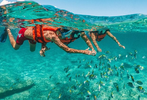 With lush reefs and crystal-clear waters, Xcaret is a fabulous place to snorkel. Photo courtesy of Xcaret Parks