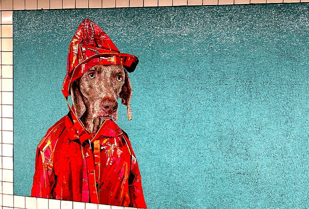 Subway art in NYC: William Wegman's Stationary Figures