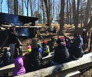 Westmoreland’s Annual Sugarfest is happening this weekend at Westmoreland Sanctuary. Photo courtesy of the sanctuary