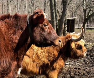 Sunday Explorers get to meet and greet the animals. Photo by Ally Noel