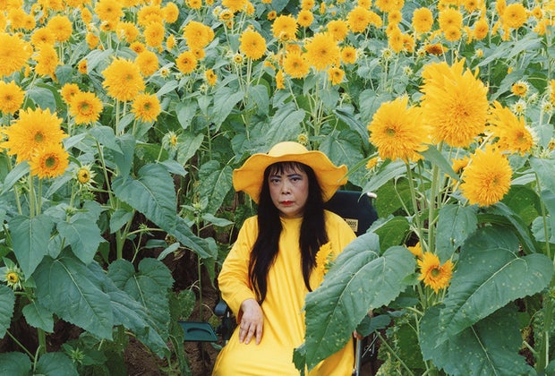 Kusama: Cosmic Nature tells the story of the artist's love for nature