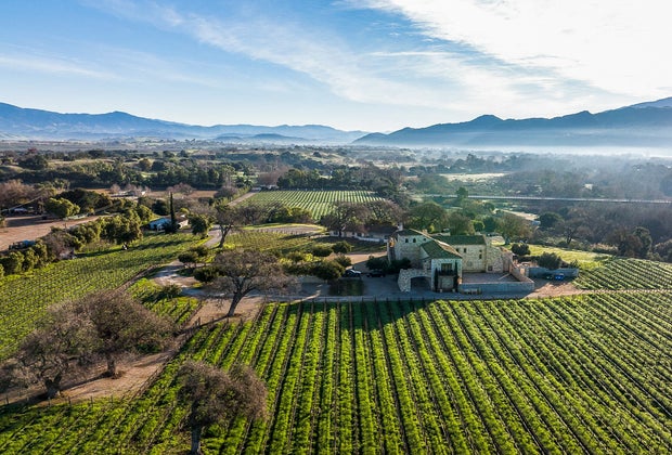 Family-Friendly Vineyards and Wineries Near Los Angeles: Sunstone Winery