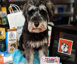 Grab your tickets to the Super Pet Expo in Edison this weekend. Photo courtesy of the expo