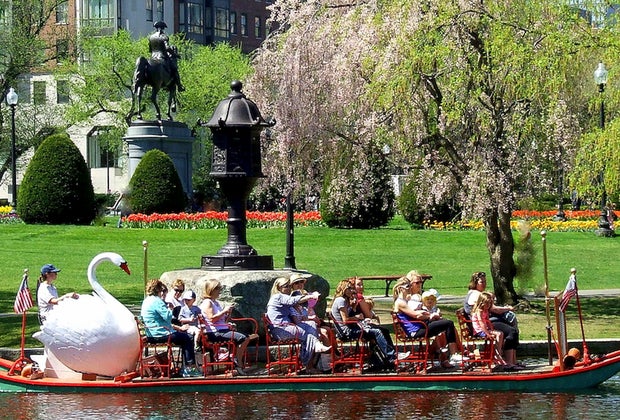 Image of the Boston Swan Boats, one of the fun things to do on Mother's Day 2024 in Boston.