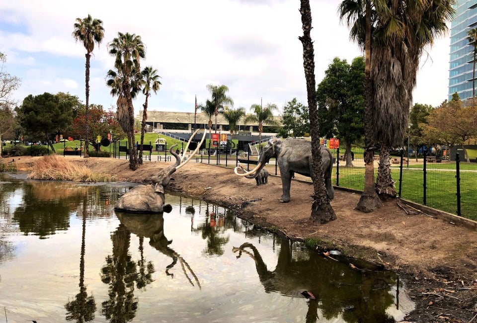 The La Brea Tar Pits are one of the  most famous fossil discovery spots in the world.