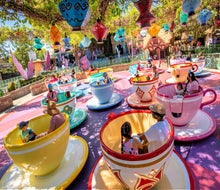 Minimize stress and maximize the fun for kids of all abilities. Photo courtesy of Walt Disney World