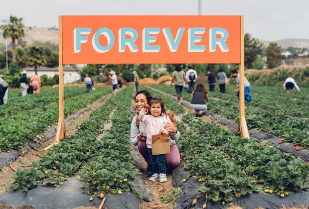 Spring in Los Angeles: Strawberry Picking at The Ecology Center