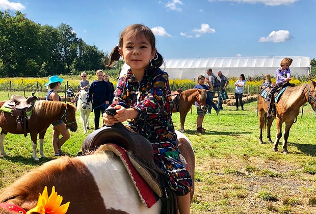 New Jersey Farms Where You Can Throw a Barnyard Birthday Party: Terhune Orchards