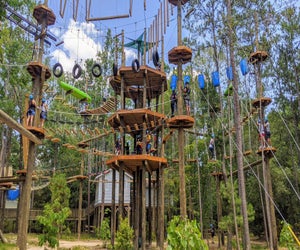 Photo courtesy of Texas TreeVentures