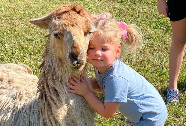 TGR Exotics Wildlife Park llama love hug