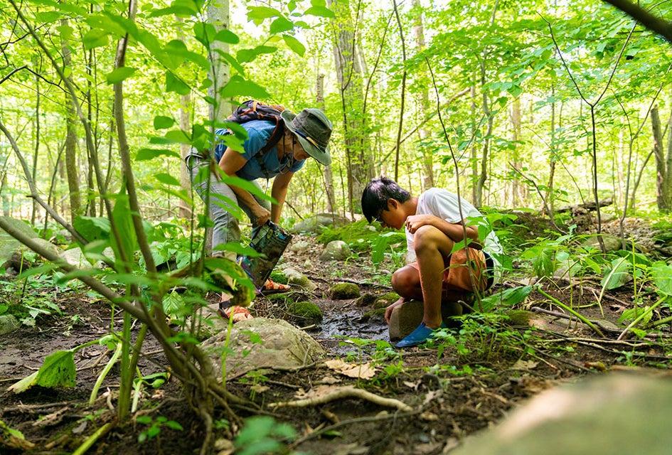 Kids from various northern New Jersey towns can get a ride to Nature Place Day Camp in Chestnut Ridge, N.Y. Photo courtesy of the camp