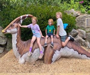 There's massive fun to be had exploring the exhibits at Squam Lake Natural Science Center in New Hampshire!
