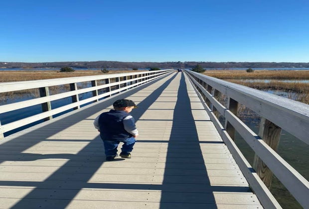 Long Island Winter Walks: Sagamore Hill