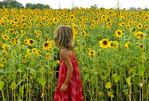 a girl in a sunflower field Gorgeous Sunflower Fields for Pick-Your-Own Flowers near Chicago