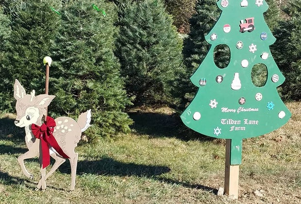Christmas Tree Farm Tilden Lane Farm