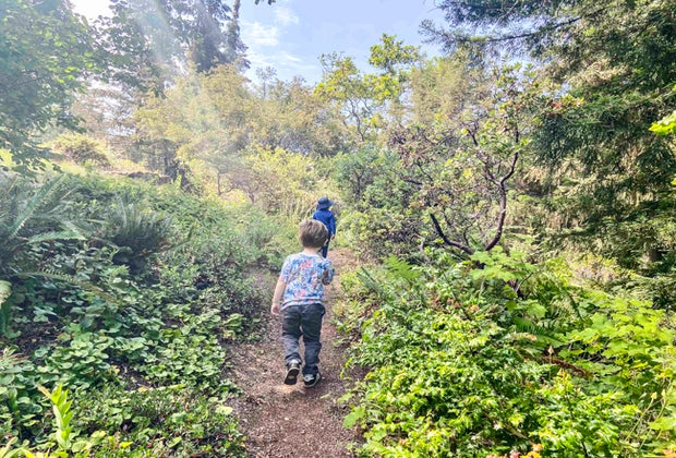 Hikes in San Francisco: Tilden Regional Park