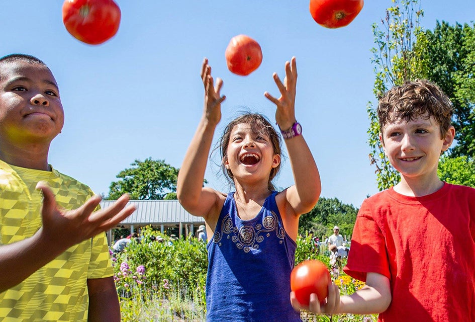 Tip your garden hat to the great tomato at NYBG.  Photo courtesy of  NYBG