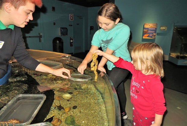 Photo of children at touch-tank in Maritime Aquarium.