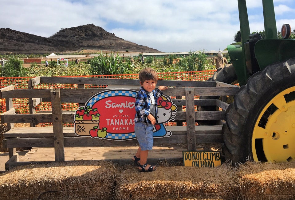 Posing with giant tractors