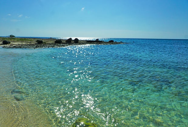  Embassy Suites Aruba by Hilton: beach