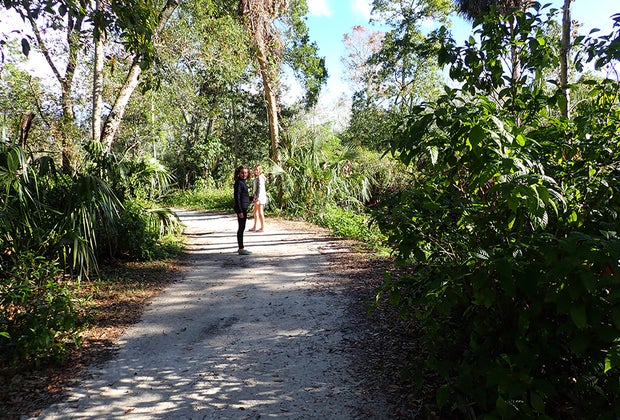 Best Things To Do in St. Petersburg, Florida: Boyd Hill Nature Preserve