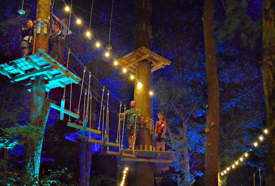 Photo courtesy of TreeTop Adventures 