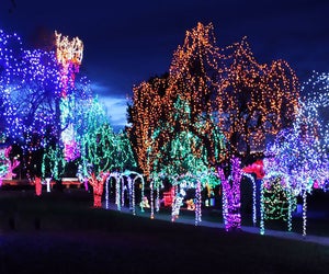 Turtle Back Zoo's FREE Holiday Lights display kicks off this weekend. Photo courtesy of the zoo