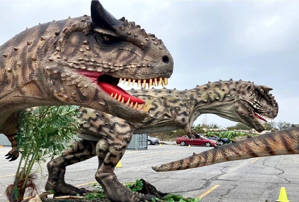 Meet animatronic dinosaurs on a drive-thru Jurassic Quest!