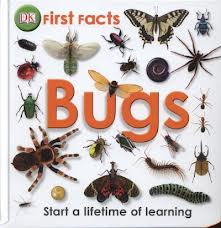 First Facts: Bugs 